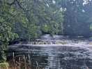 River eden