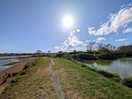 Lovely place to walk the dogs