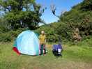 Secluded pitches woodland