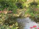 Pretty pond within grounds & safe for children & dogs