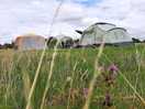 Our camp