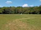 Campsite