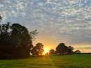 Sunset on the field beside the site