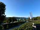 View from reception
