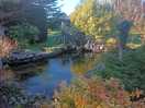 Mill cottage gardens