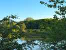 Nature and lake