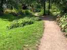 Pathway along the river