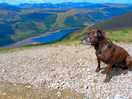 On our way down from helvellyn.