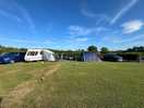Great pitch size and so well kept