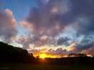 View from campervan pitch