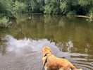 In the river in tenbury
