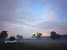 After rain we had some mist rolling in over the fields