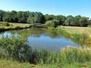 Scenic fishing lake.