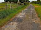 Long track good for walking dogs