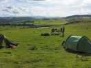 Our pitch