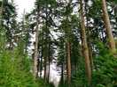 Direct van de camping eindeloos wandelen in de noord veluwse natuur.