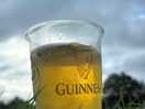 Great beers