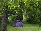 Our tent pitch