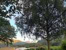 Walk down to the loch for a swim