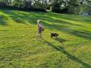 Dog friendly