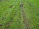 No path