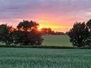 Sunset view