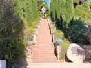 Botanischer garten