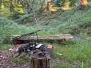 Where we watched the animals!