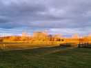 Beautiful clear light