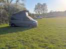 Evening sunshine on the site
