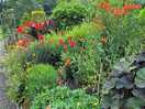 Wow flowers and grounds