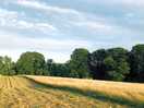 Wide cut routes to drive though and pitch on but able to pitch anywhere!