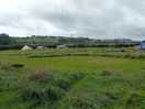 Nice large pitches