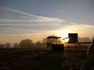 Early morning