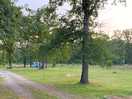 Site grounds