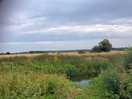 Riverbank walk