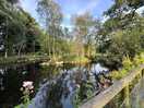 Lovely lake