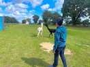 Campsite, image along with alpaca.