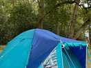 Tent in the trees!