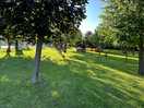 Tuin