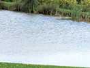 Fishing lake