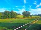 Prairie