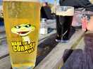 Billy buds croyde.