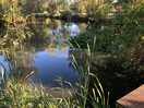 Well maintained lakes