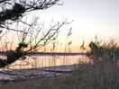 View over the estuary