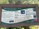 Local walks