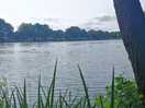 Pearl lake