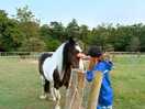 Pepsi receiving and giving kisses