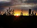 Wonderful sunset