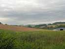 Local landscape